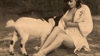 Klasik Tabu: Modern Bir Dokunuşla Retro Bir Romantizm